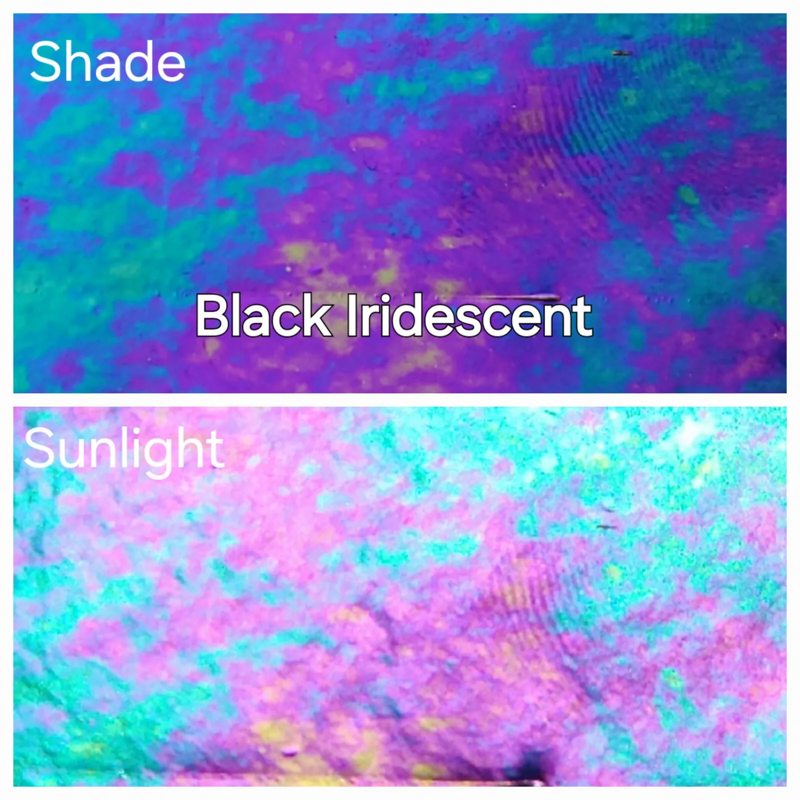 L Black Opaque Iridescent